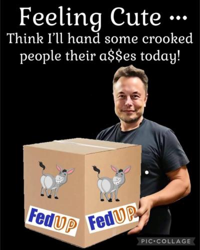 image_6EF35B81-1A75-4819-BDAF-C0518497984B