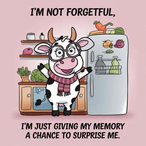 481258974_122207121008211004_3777050363652615508_n