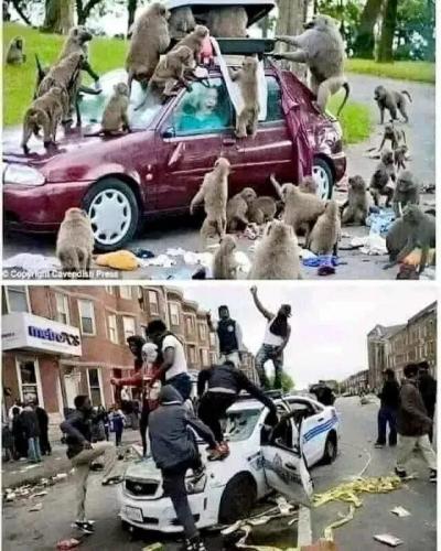 324840d28a461939bf5fb0f63234ff87