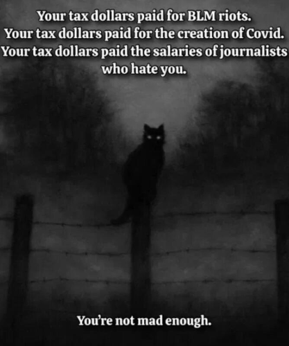 image_69605E27-247A-4327-ADCB-81F4D6674DCD