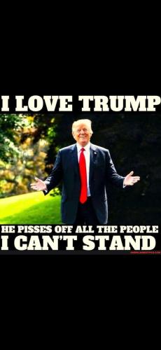 Screenshot_20250204_124937_Gallery