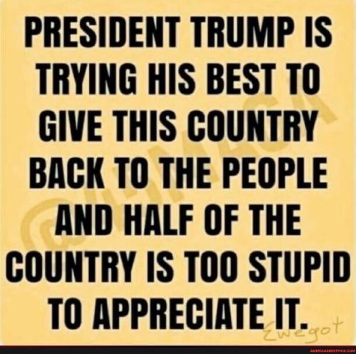 f21daf566032a8d4ecfe97009f57852a1faa2a6ea2a888af528ffbb972bbdf4b_1