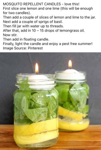 4430158D-A784-4400-8448-88EE5C4D76F7