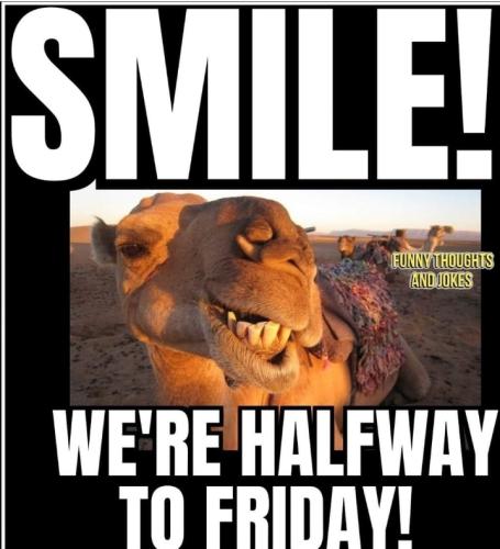 Screenshot_20250205_065118_Gallery