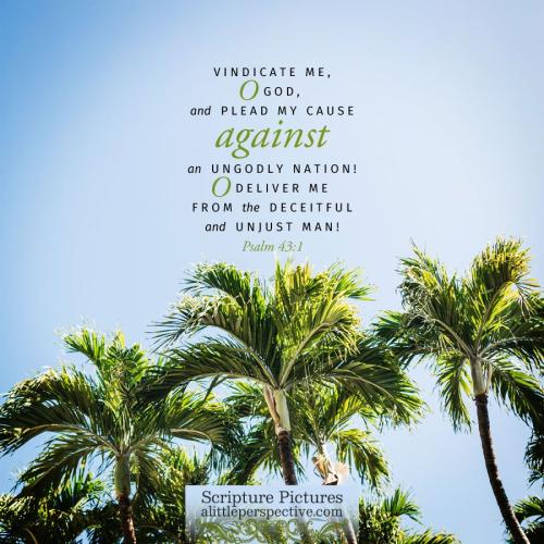 psa-43-1-NKJV-unsplash