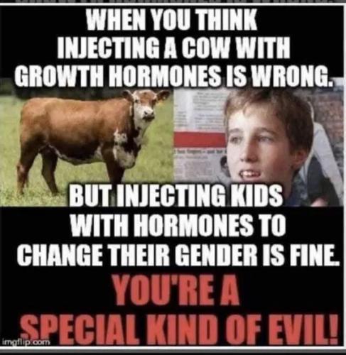 6842c02c21833a2843e2a1ff30f056cd