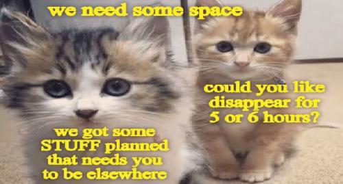 faaebe553be3119609a1cfaee413d08c