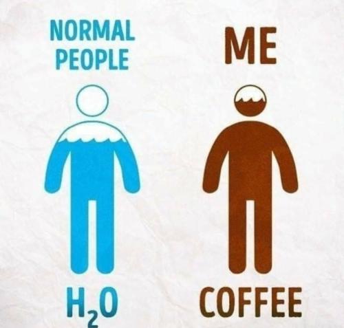 Screenshot_20250220_061426_Gallery