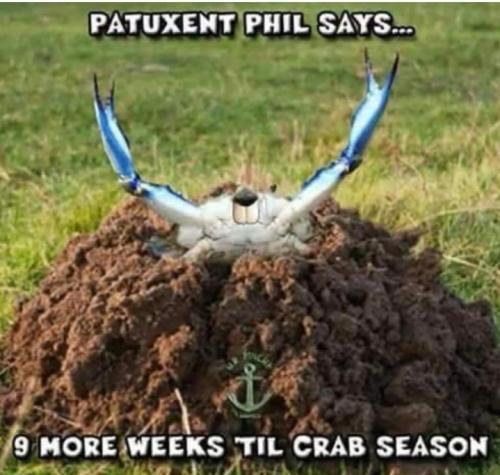 Screenshot_20250204_061918_Gallery