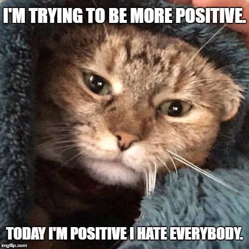 FB_IMG_1740347359478