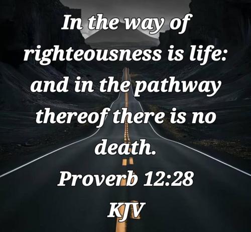 77e3400f-2eb5-4c74-bb9c-ea572463afe3