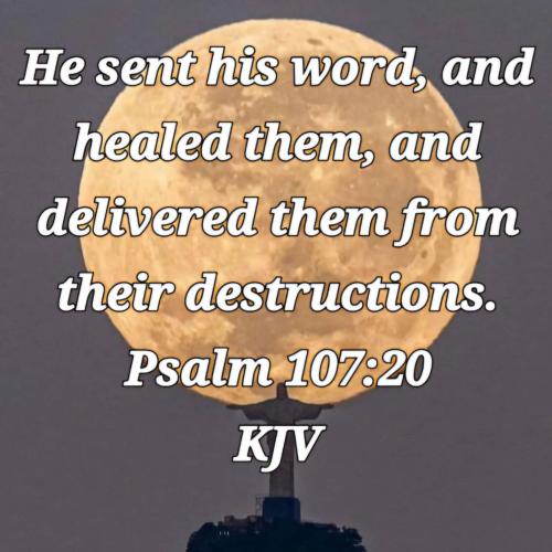 d892070f-1a19-4344-a2c1-0742c7dee67a