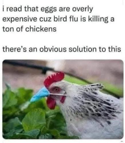 D35605CF-5E8E-43A3-B913-468286807209