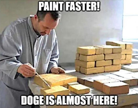 government efficiency35