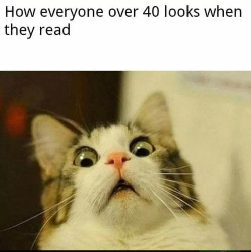 Screenshot_20250203_073113_Brave