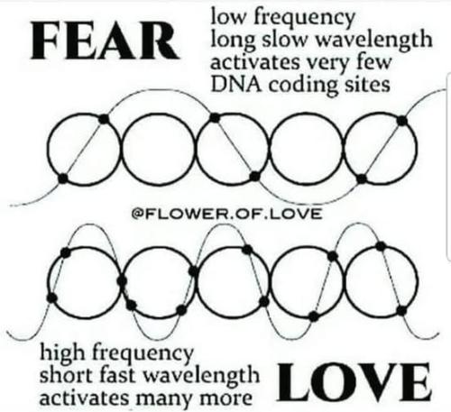 476000803_1094780982659500_5911359873394613771_n