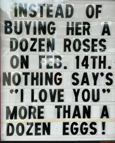 36435b161c5f86ddb0f59f431b63a4d62d46dd3f2fa12a503e71c65554ea503b_1