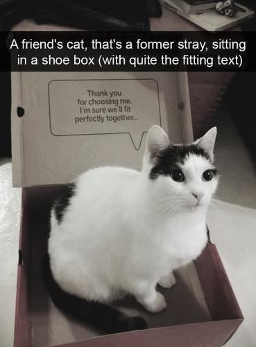 FB_IMG_1739214157491