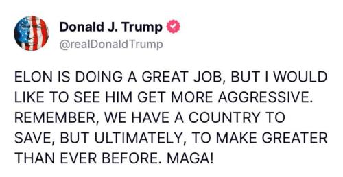 TrumpElonAgressiveDOGE