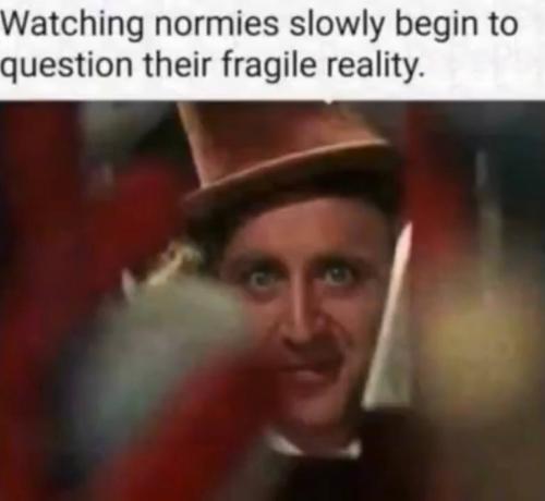 IMG_20250208_074905_577