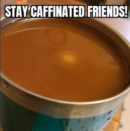 Screenshot_20250205_095041_Gallery