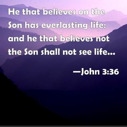 john 3  36