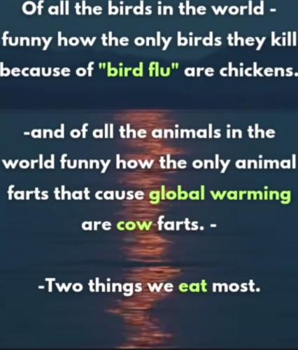 6c02b3b07b3141d27777fdc563c7728e36ad0b5f86d57294c76d1246d41218e8_1