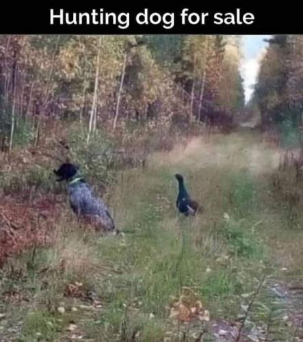 DAEB06E4-0087-4D47-9F46-E6F80D7ED43E