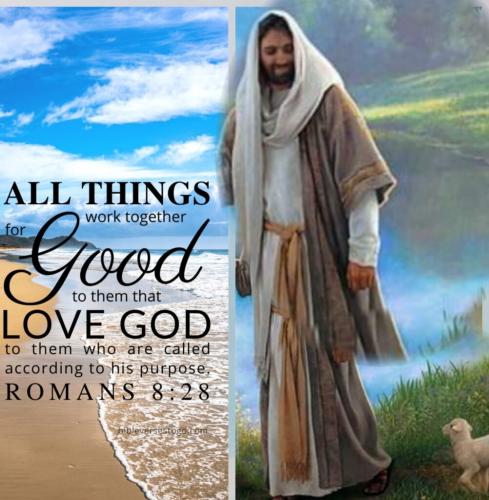 IMG_20220829_171527-1002x1024-1310457226