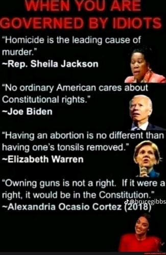 cfaaace6985b333d2cbd4e8911c88b9dfa62c30ad817164800bce1aad1eff211_1