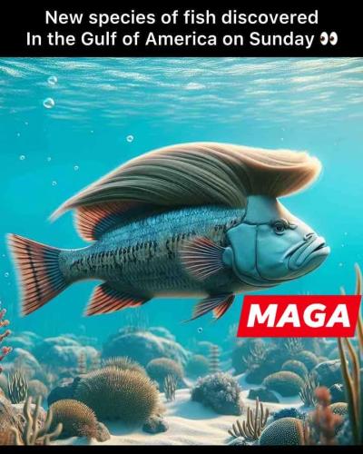 FB_IMG_1740759236852