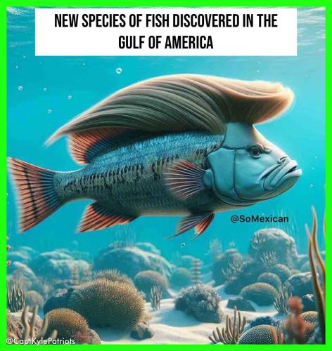 IMG_20250227_112314_740