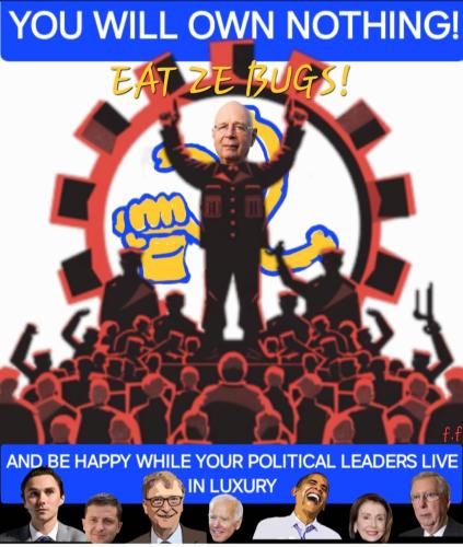 Screenshot_20250224_102235_Gallery