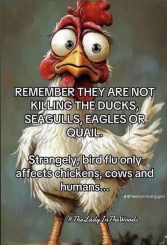 photo_2025-02-06_23-01-32