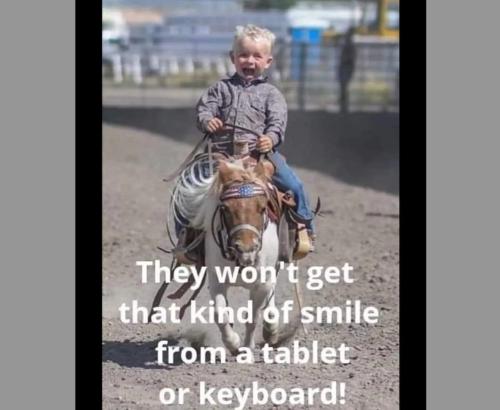 3e0d8bb2-0d8a-4021-a5bb-d0adf07ad049_1208x992