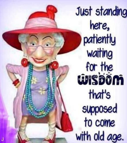 480196579_2413412899012332_4313911480206029967_n