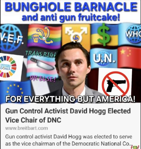 Screenshot_20250202_125343_Gallery