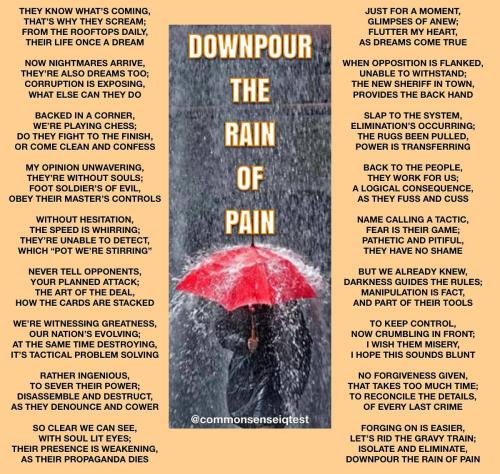 IMG_20250205_123117_578