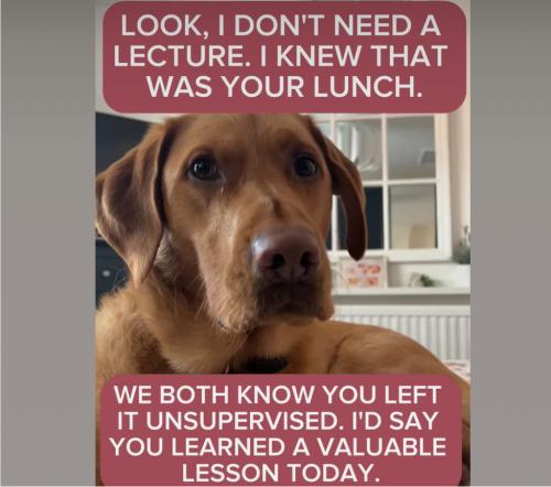 62C76437-5C33-4C20-BEF1-40A82721990A