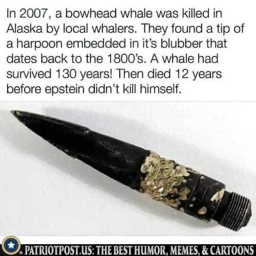 00000000000000000000000000000000000000000000000000000000000000000000000000000000000000000000000000000000000000000000000000000000000000000000000000000000000000000000000000000000000000000000000000000000000000000gfe