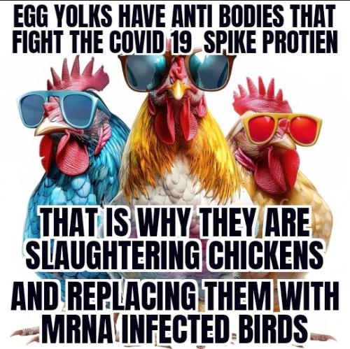 ZomboMeme 27022025095009