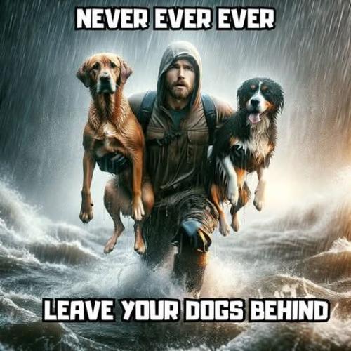 FB_IMG_1740519436508