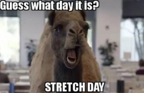 Screenshot_20250226_144843_Gallery