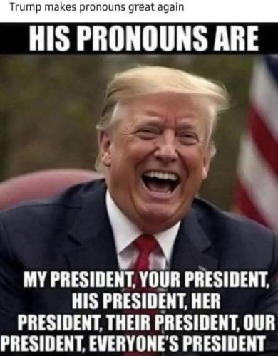 e62f68fa8244b458a313d4408ac8753e