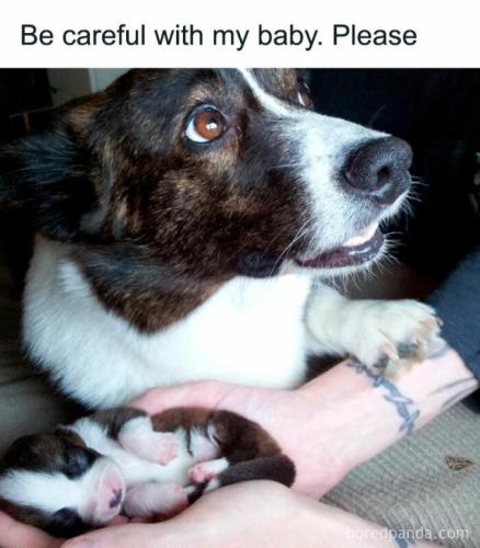 538935a24a7116097ff04966ae573a3e