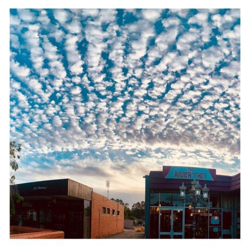 d6768c89-1228-4973-95a1-2a99735a3b4e