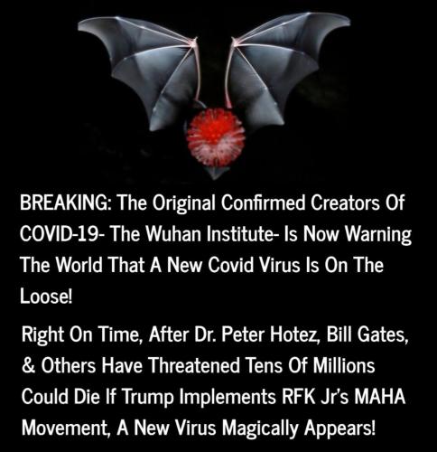 image_16AEE509-B939-4CD8-9D0F-0B7C93F4B67A