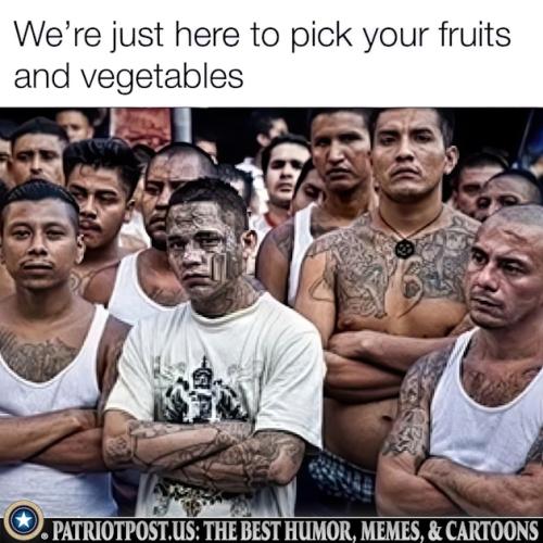 01JK5Z2J3AV60S0HJQ4VZ4HXXS