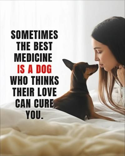 FB_IMG_1740421117714