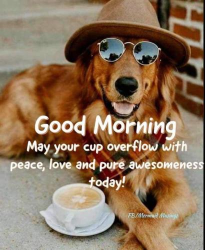 FB_IMG_1607179170174